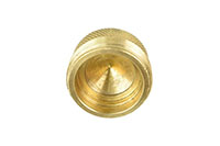 Shank Cap Faucet Plug - 2
