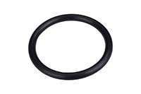 Pump O-Ring